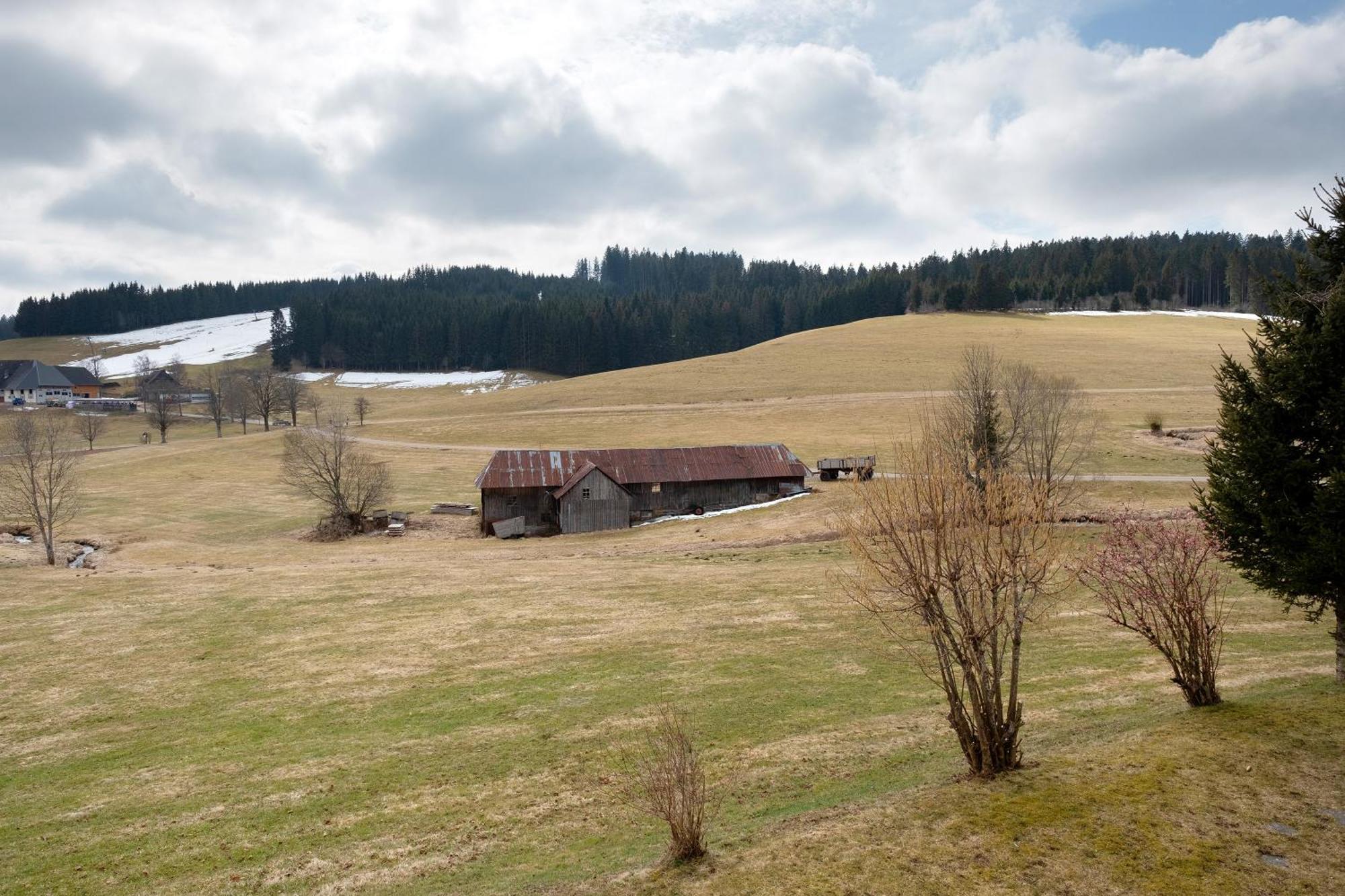 Ferienhaus Kaltenbach Titisee-Neustadt Exterior foto
